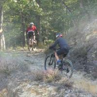 2023 vtt 323 