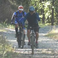 2023 vtt 329 