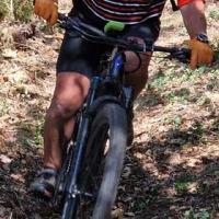 2023 vtt 33 