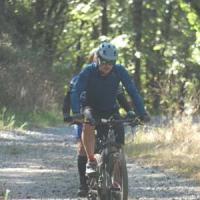2023 vtt 330 