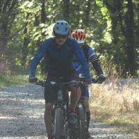 2023 vtt 331 