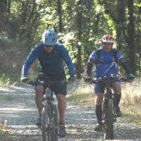 2023 vtt 332 