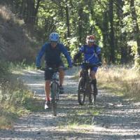 2023 vtt 333 