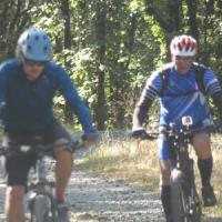 2023 vtt 334 