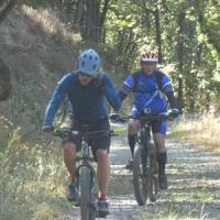 2023 vtt 335 