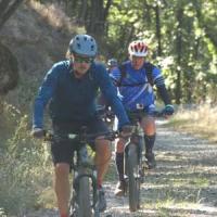 2023 vtt 336 