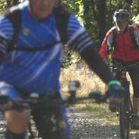 2023 vtt 338 
