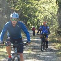 2023 vtt 339 