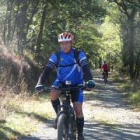 2023 vtt 341 
