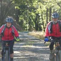 2023 vtt 342 