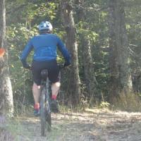 2023 vtt 343 