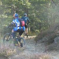 2023 vtt 344 