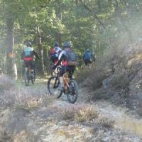 2023 vtt 345 