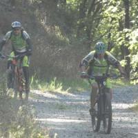 2023 vtt 346 