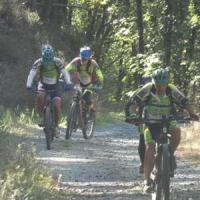 2023 vtt 347 
