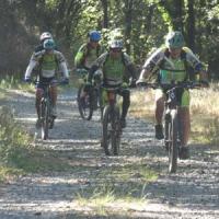 2023 vtt 348 