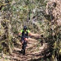 2023 vtt 35 