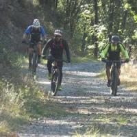 2023 vtt 357 