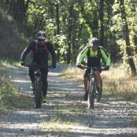 2023 vtt 359 