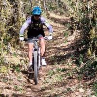 2023 vtt 36 