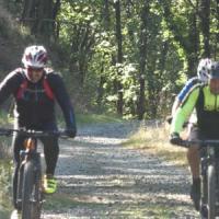 2023 vtt 360 