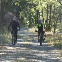 2023 vtt 361 
