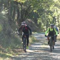 2023 vtt 362 