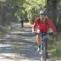 2023 vtt 366 