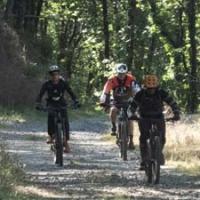 2023 vtt 368 