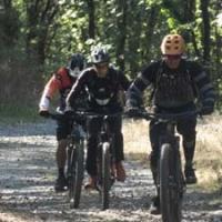 2023 vtt 369 