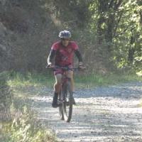 2023 vtt 371 