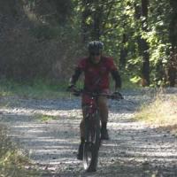 2023 vtt 372 