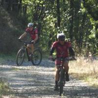2023 vtt 373 