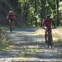2023 vtt 374 