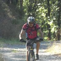 2023 vtt 377 