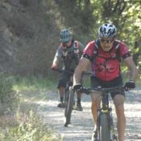 2023 vtt 378 