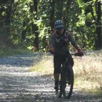 2023 vtt 379 