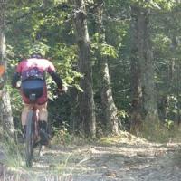 2023 vtt 382 