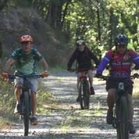 2023 vtt 389 