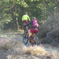 2023 vtt 396 