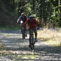 2023 vtt 399 