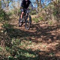 2023 vtt 4 
