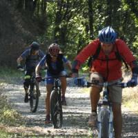 2023 vtt 402 