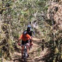 2023 vtt 41 
