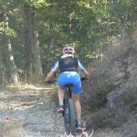 2023 vtt 413 