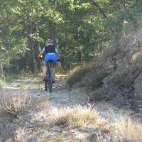 2023 vtt 414 