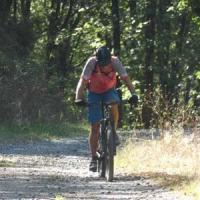 2023 vtt 417 