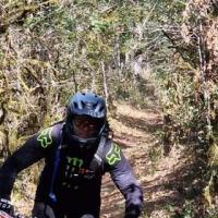 2023 vtt 42 
