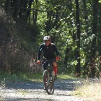 2023 vtt 425 