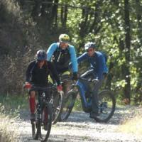 2023 vtt 426 